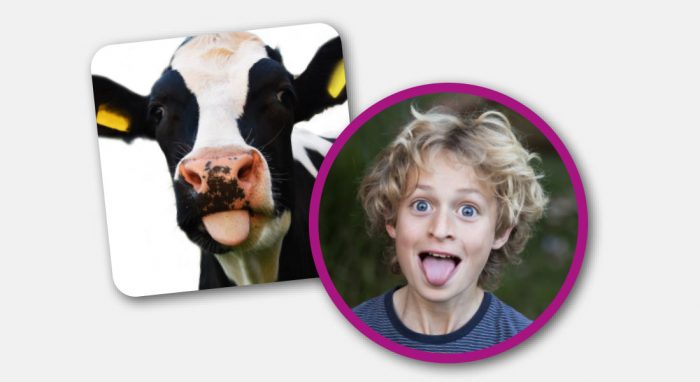 Dit zijn de leukste (bord)spellen met dieren voor kinderen